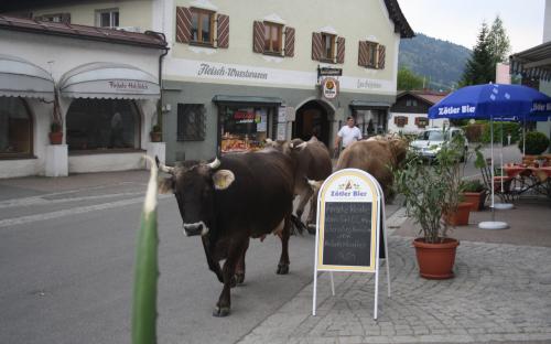 Idülle in Bad Hindelang