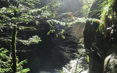 Wildbachtobel in Bad Hindelang